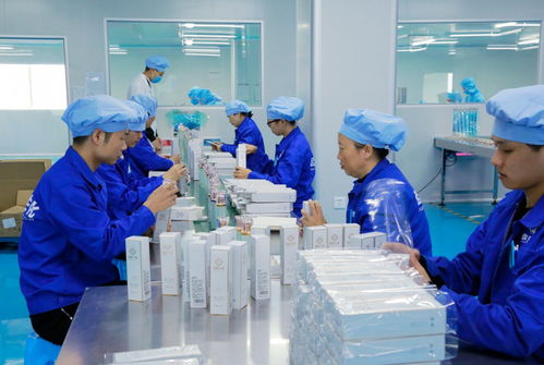 軒蔻化妝品與極蕊品牌代理 專業(yè)合作的機遇與前景